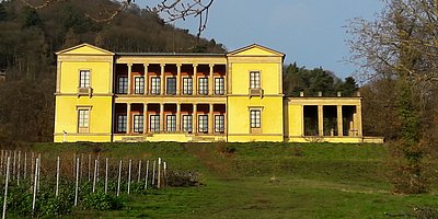 (Wein)- Kultur der Pfalz