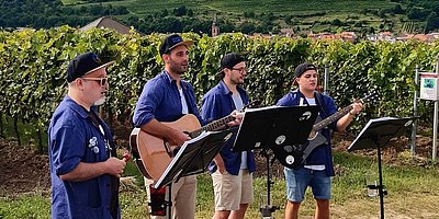 Wandern, Wein und mehr...