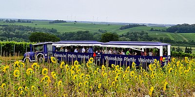 Rollende Weinproben mit dem Schoppenbähnel Pfeffer-Express