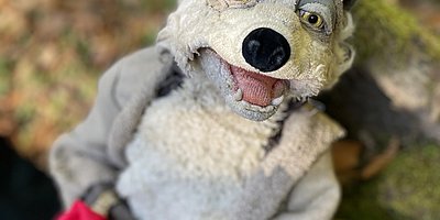Märchenspaziergang im Pfälzer Wald für Erwachsene: "...so leben sie noch heute"