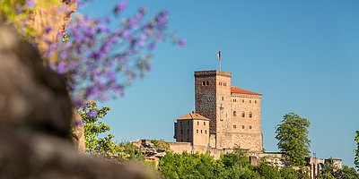 Kinderprogramm Trifelsverein: Führung Burg Trifels