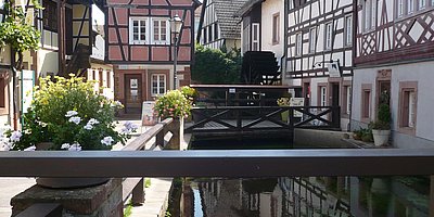 Sonderausstellung „Landschaft als kulturelles Gedächtnis in der Fotografie"